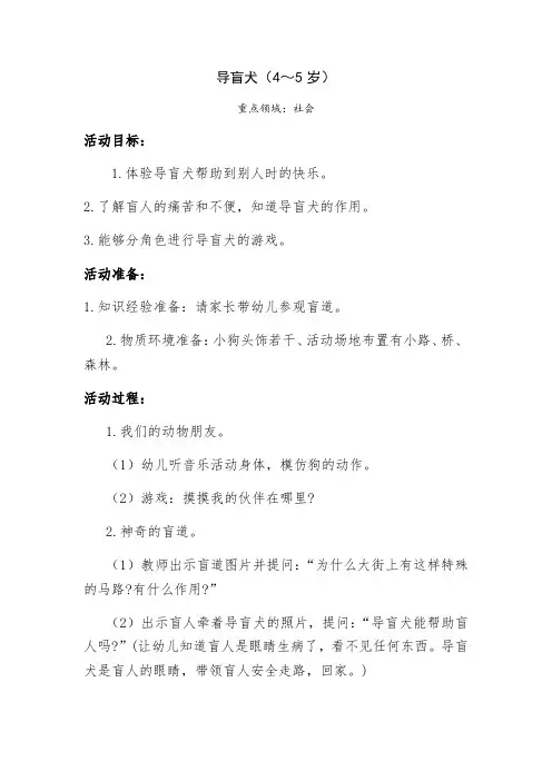 社会：导盲犬