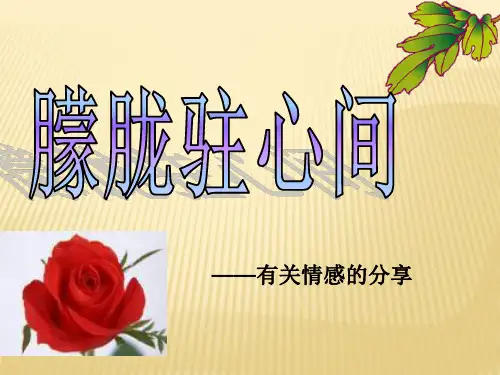 中学生青春期情感主题班会PPT课件