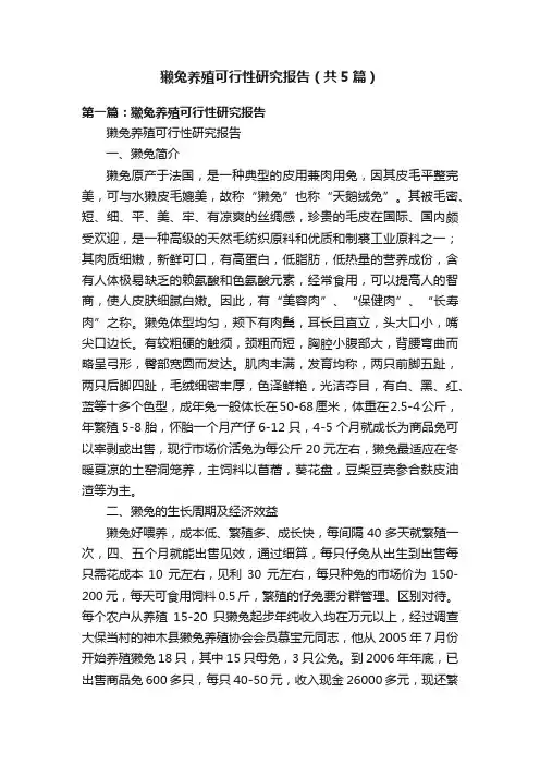 獭兔养殖可行性研究报告（共5篇）
