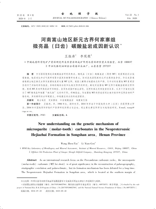 河南嵩山地区新元古界何家寨组微亮晶(臼齿)碳酸盐岩成因新认识