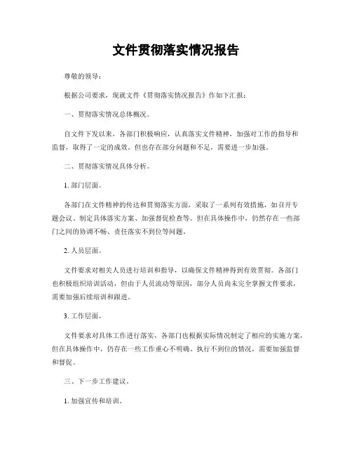 文件贯彻落实情况报告