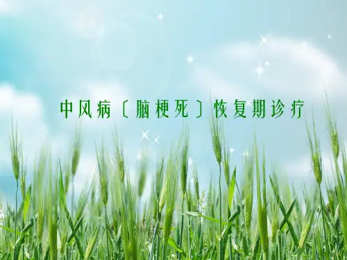 中风病(脑梗死)PPT幻灯片PPT