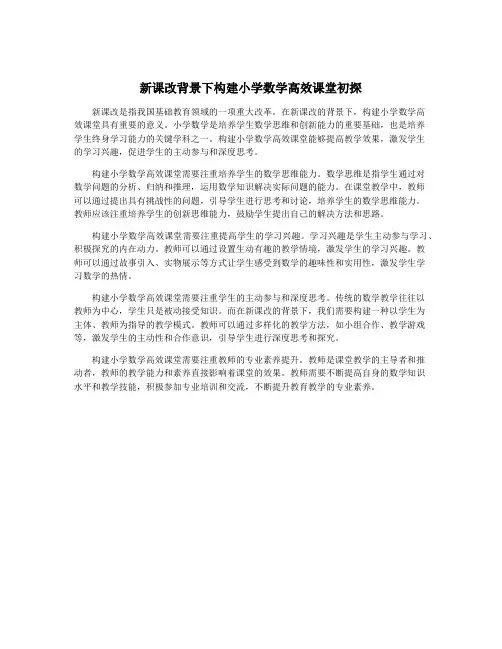 新课改背景下构建小学数学高效课堂初探
