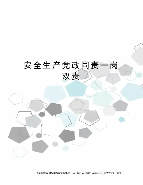 安全生产党政同责一岗双责