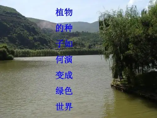 【初中生物】种子的结构PPT课件3
