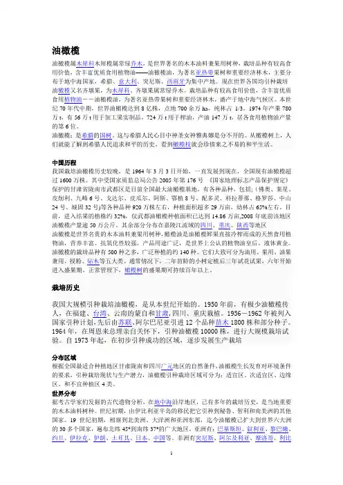 油橄榄