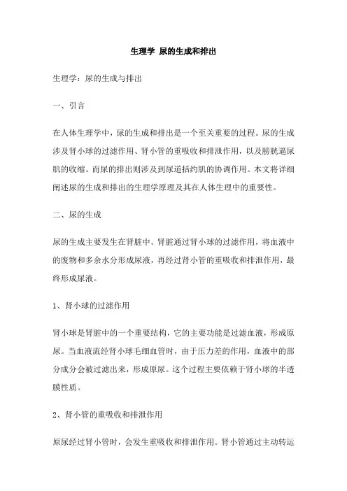 生理学 尿的生成和排出