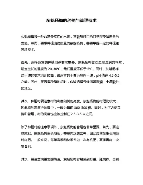 东魁杨梅的种植与管理技术