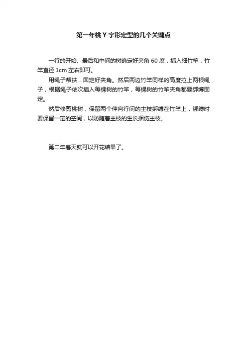 第一年桃Y字形定型的几个关键点