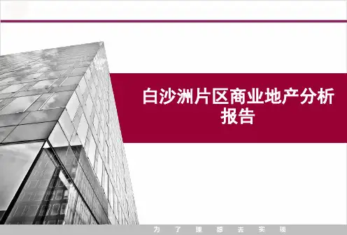 白沙洲片区商业调查20131120