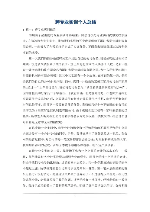 跨专业实训个人总结