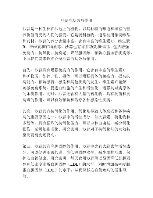 沙蒜的功效与作用