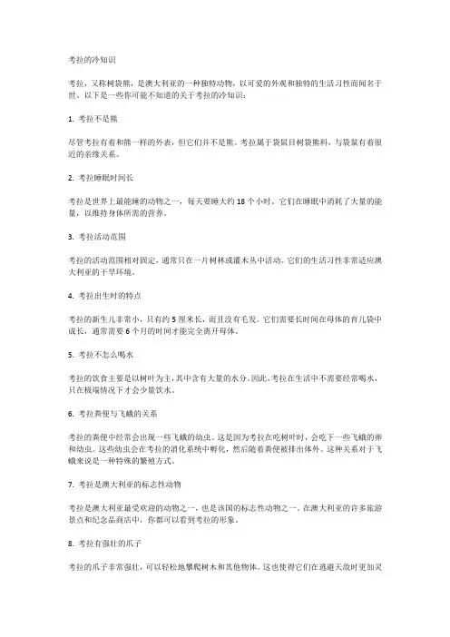 考拉的冷知识