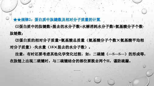 蛋白质的计算