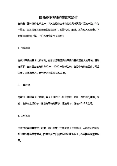 白茶树种植植物要求条件