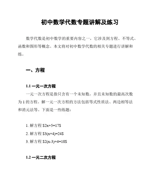 初中数学代数专题讲解及练习