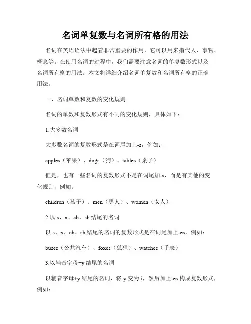 名词单复数与名词所有格的用法