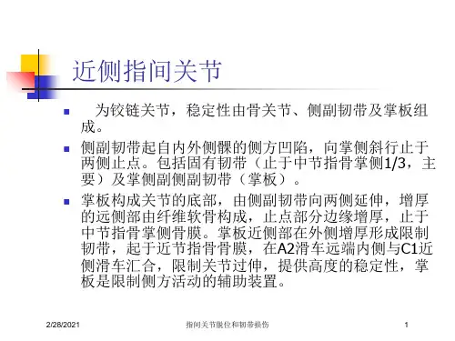 指间关节脱位和韧带损伤培训课件