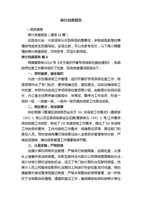 审计自查报告