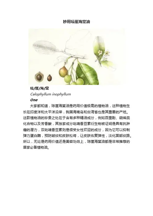妙用琼崖海棠油