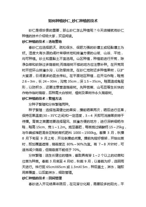如何种植砂仁_砂仁种植的技术