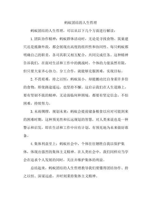 蚂蚁团结的人生哲理