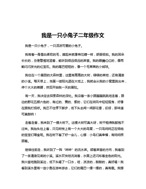 我是一只小兔子二年级作文