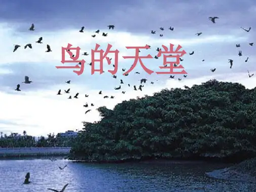 S版四年级下册《鸟的天堂》PPT