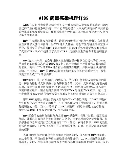 AIDS病毒感染机理详述