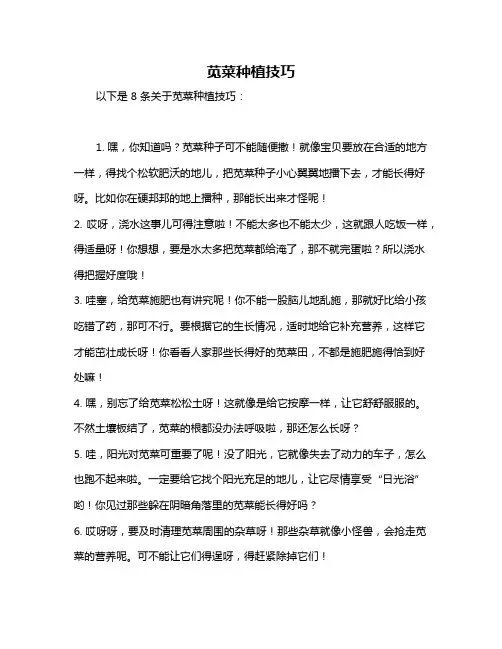 苋菜种植技巧
