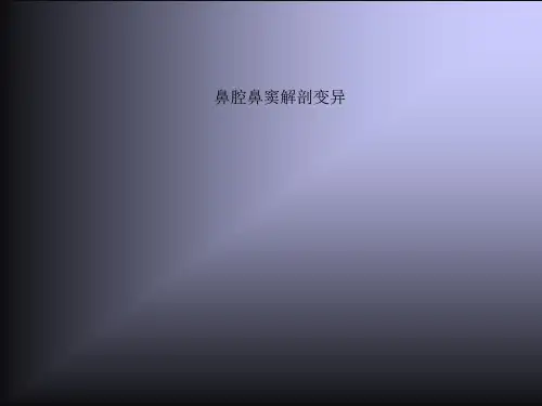 鼻腔鼻窦解剖变异