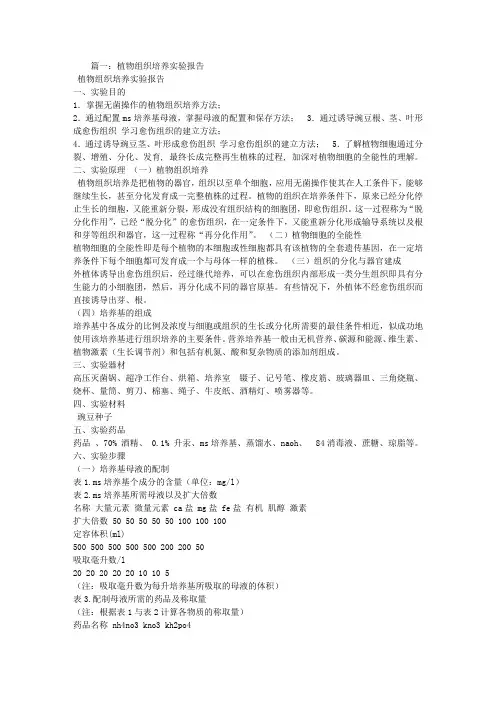 组培实验报告
