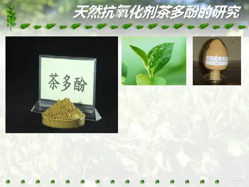 茶多酚