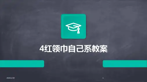 4红领巾自己系教案(2024)