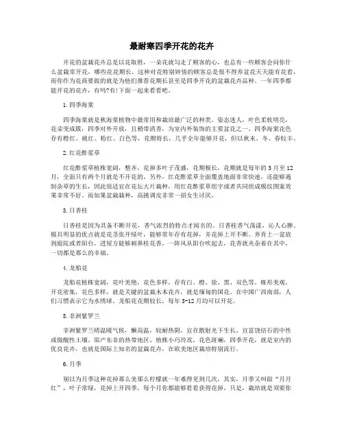 最耐寒四季开花的花卉