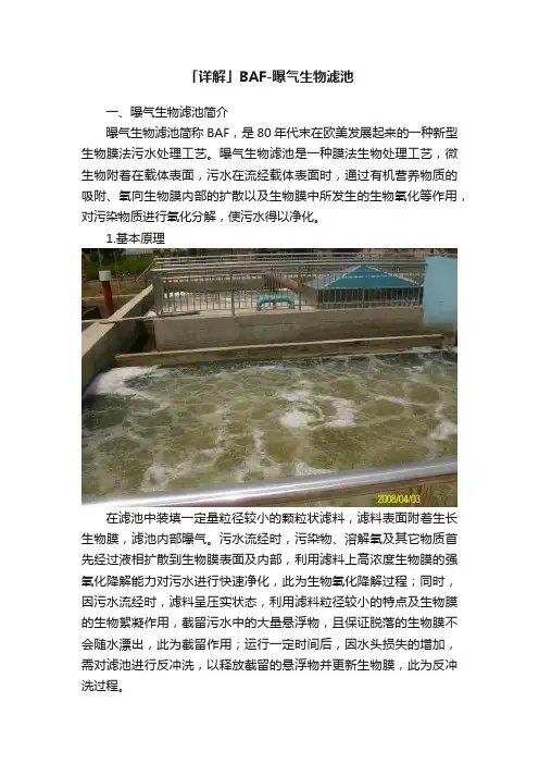 「详解」BAF-曝气生物滤池