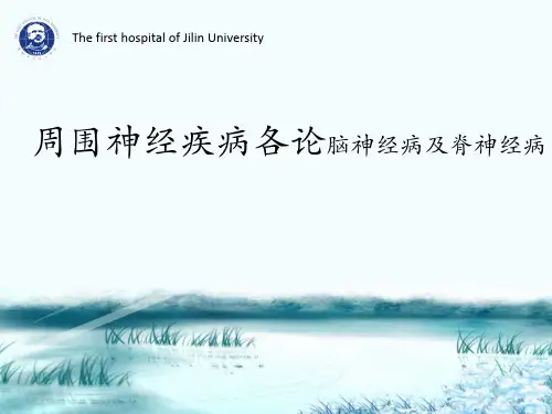多发神经病、周围神经疾病各论脑神经病及脊神经病GBS