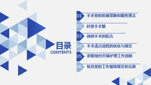 医院手术室工作总结述职报告PPT模板