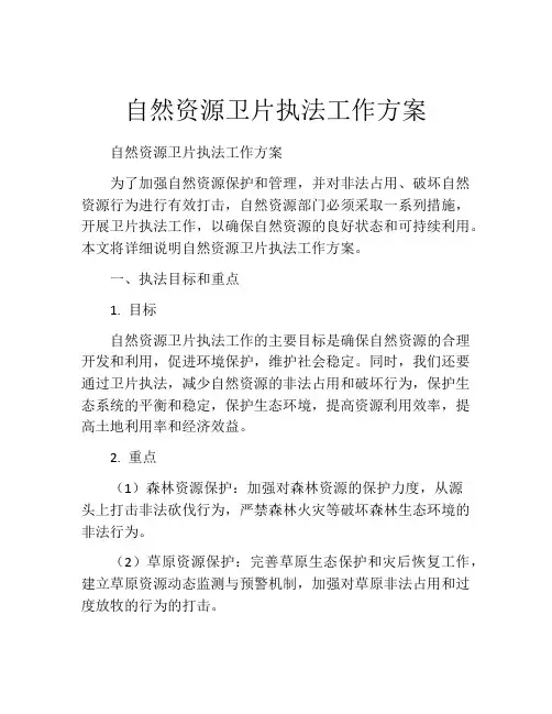 自然资源卫片执法工作方案