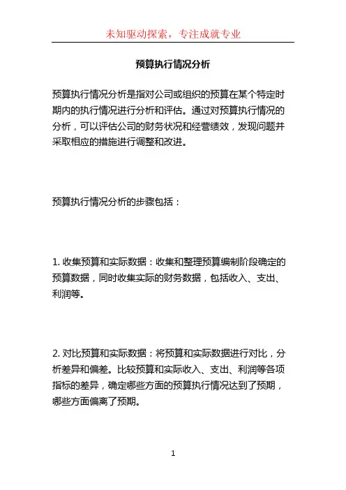 预算执行情况分析