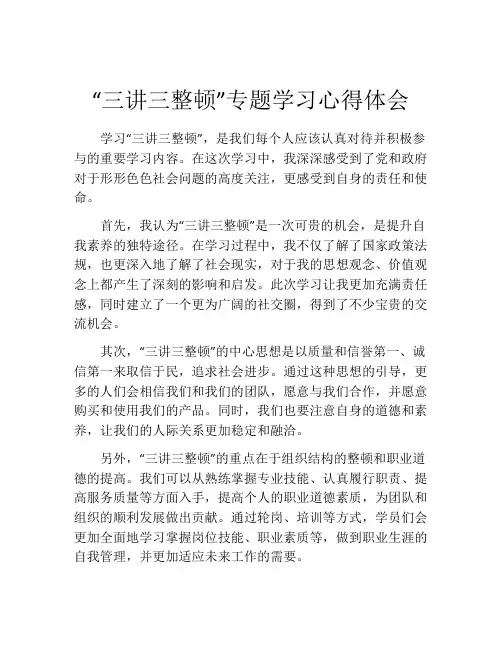 “三讲三整顿”专题学习心得体会