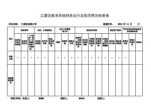 财务检查表格