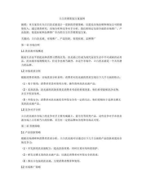 立白营销策划方案案例