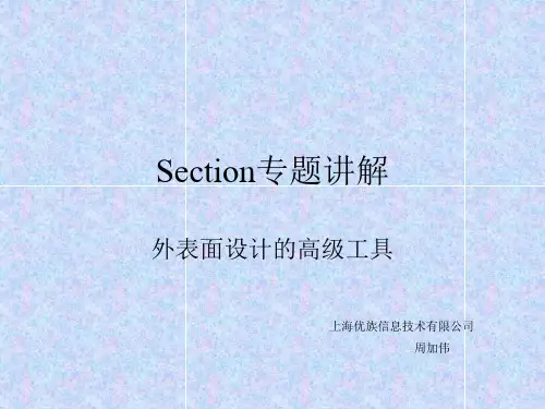 Section专题讲解.ppt