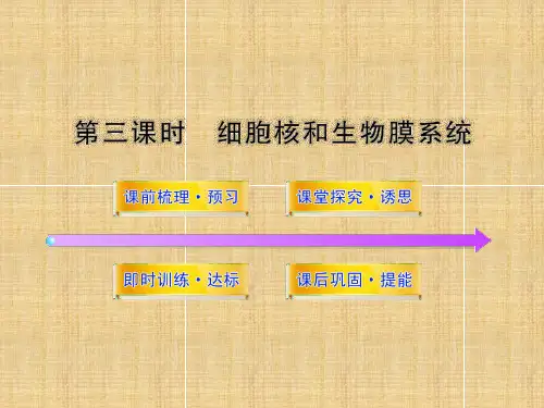 细胞核和生物膜系统PPT课件