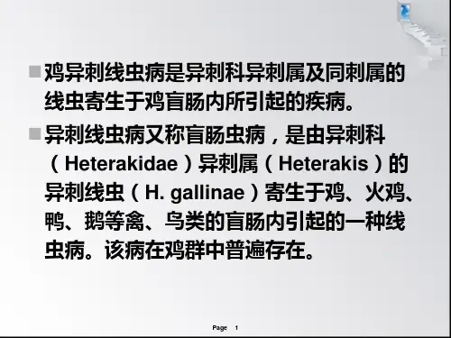 异刺线虫病PPT课件