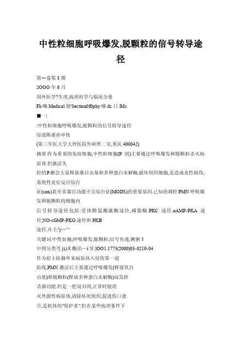 中性粒细胞呼吸爆发,脱颗粒的信号转导途径