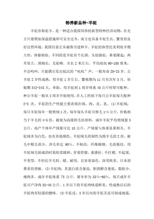 特养新品种-羊驼