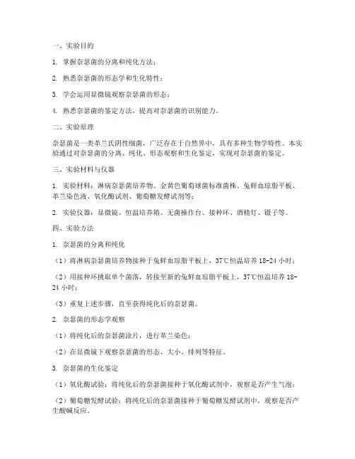 奈瑟菌鉴定实验报告