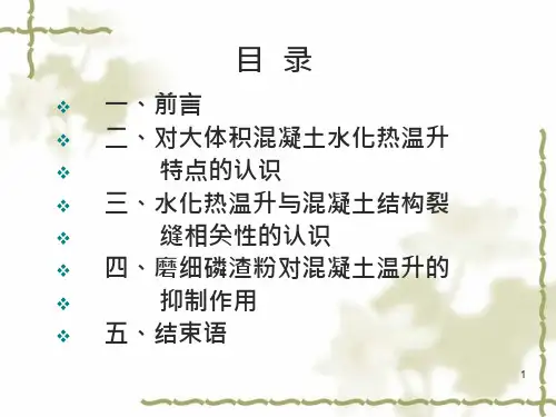 对大体积混凝土水化热温升特点的认识课件